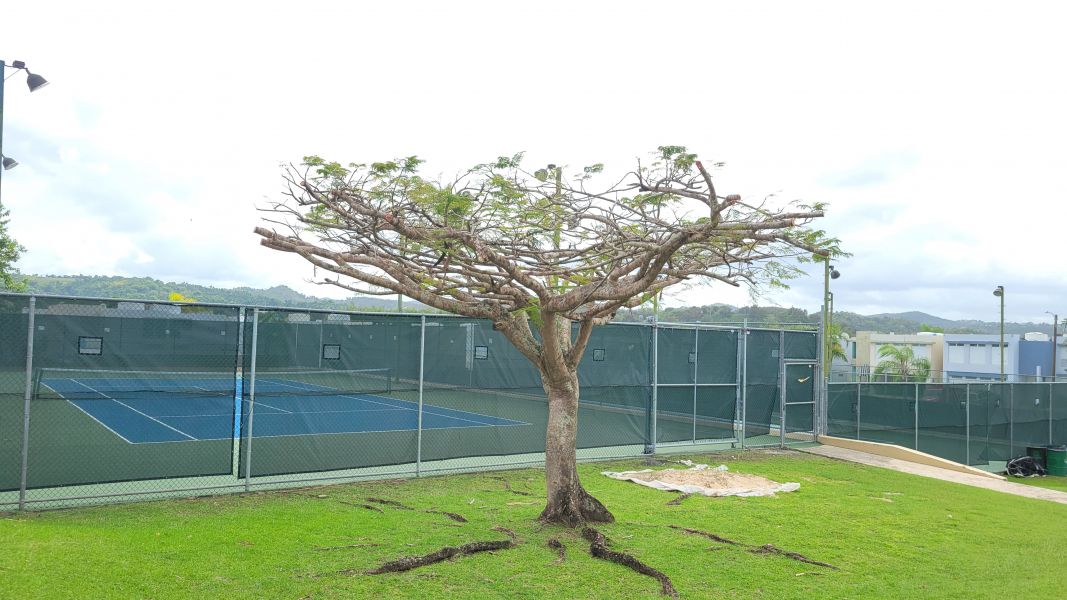 Urb. River Gardens, Casa en Canovanas