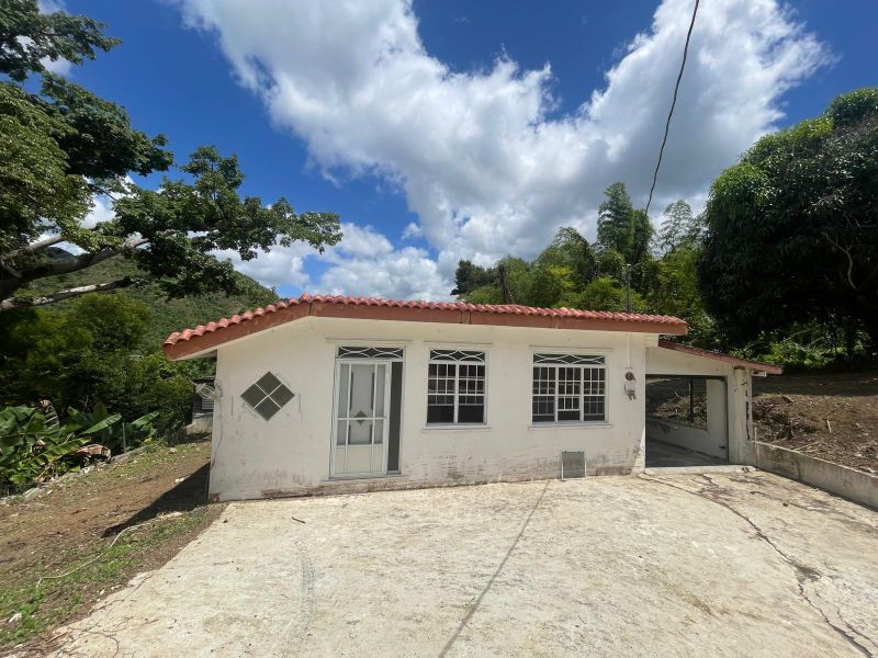 Bo. Matón, Casa en Cayey