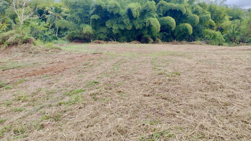 Bo. Hato Arriba, Solar en San Sebastián