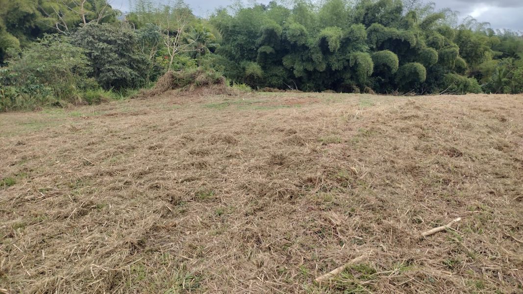 Bo. Hato Arriba, Solar en San Sebastián
