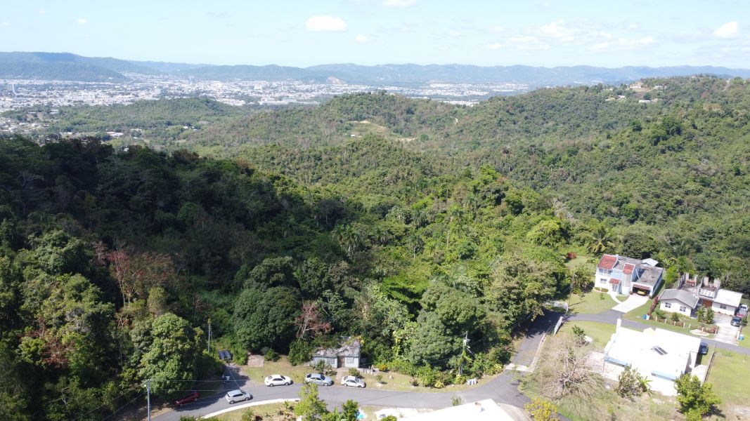 Urb. Alturas De Borinquen, Solar en Caguas