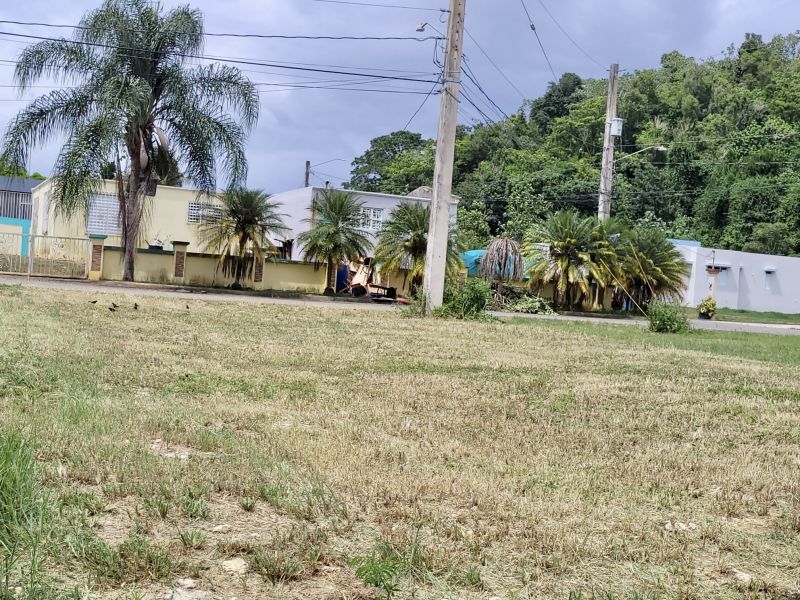 URB. PRADOS DEL RIO ENCANTADO, SOLAR EN FLORIDA