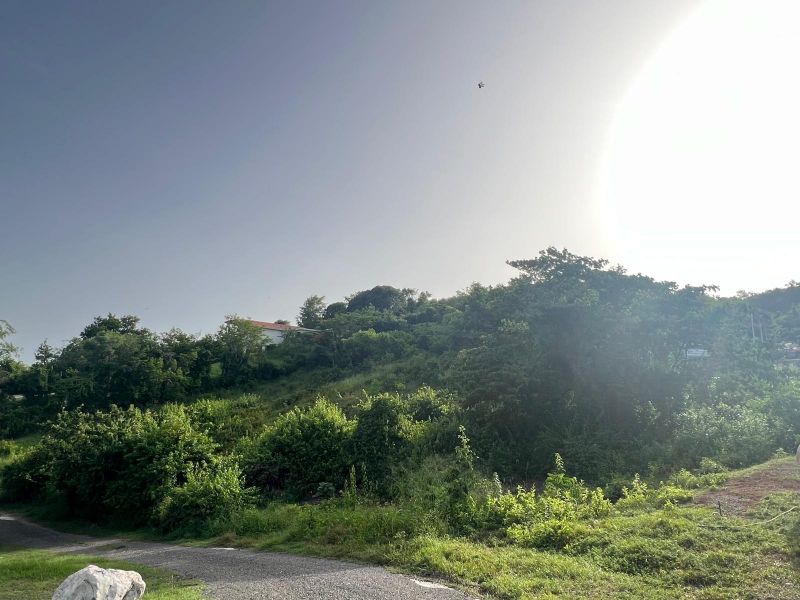 Carr 100 Km 11.01 Bo Pedernales Cabo Rojo 00623 PR