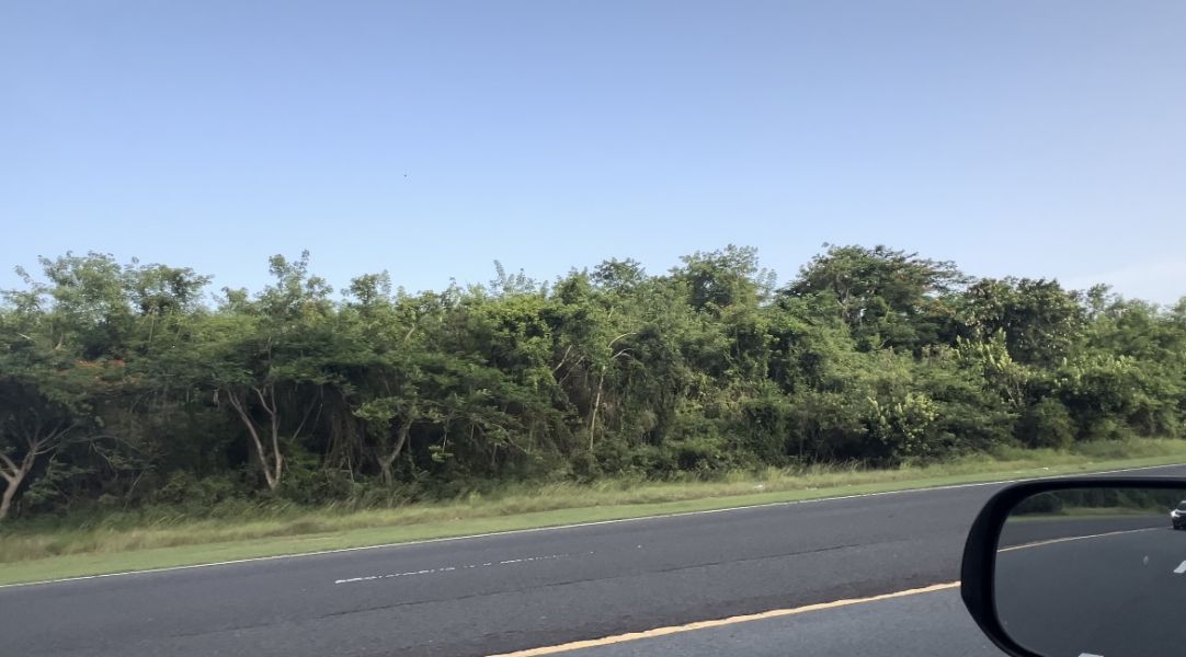 Carr 100 Km 11.01 Bo Pedernales Cabo Rojo 00623 PR