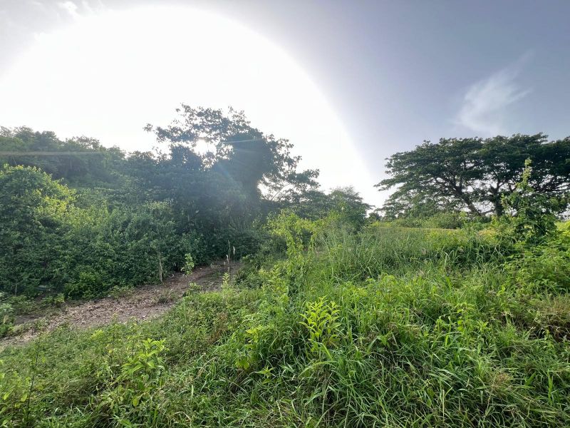 Carr 100 Km 11.01 Bo Pedernales Cabo Rojo 00623 PR