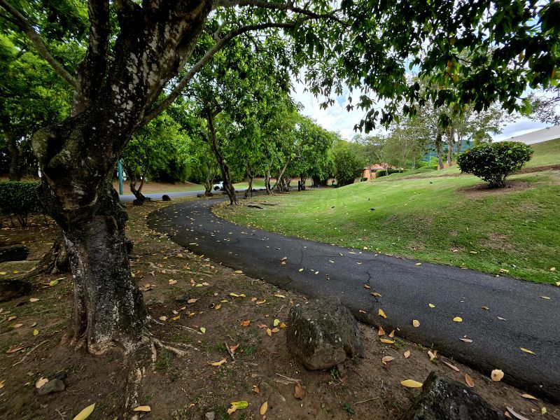 Urb Veredas 12 #206 Gurabo 00718 PR