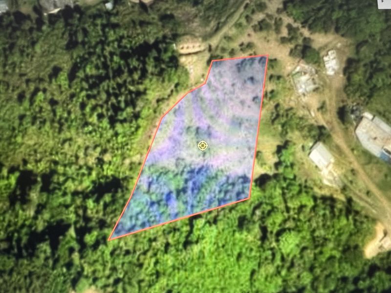 Carr 155 Km 26.0 Bo Saltos Orocovis 00720 PR