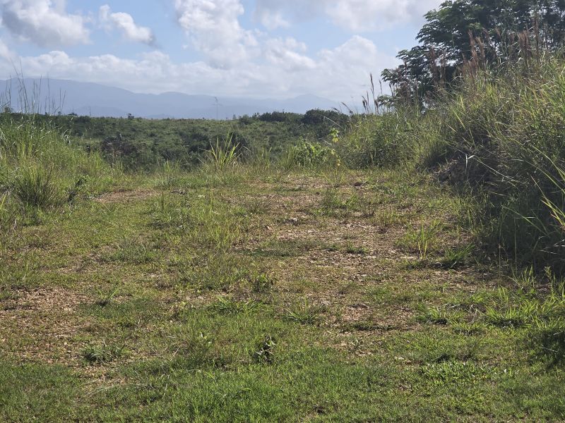 Carr 308 Km 5.8 Int Bo Miradero Cabo Rojo 00623 PR