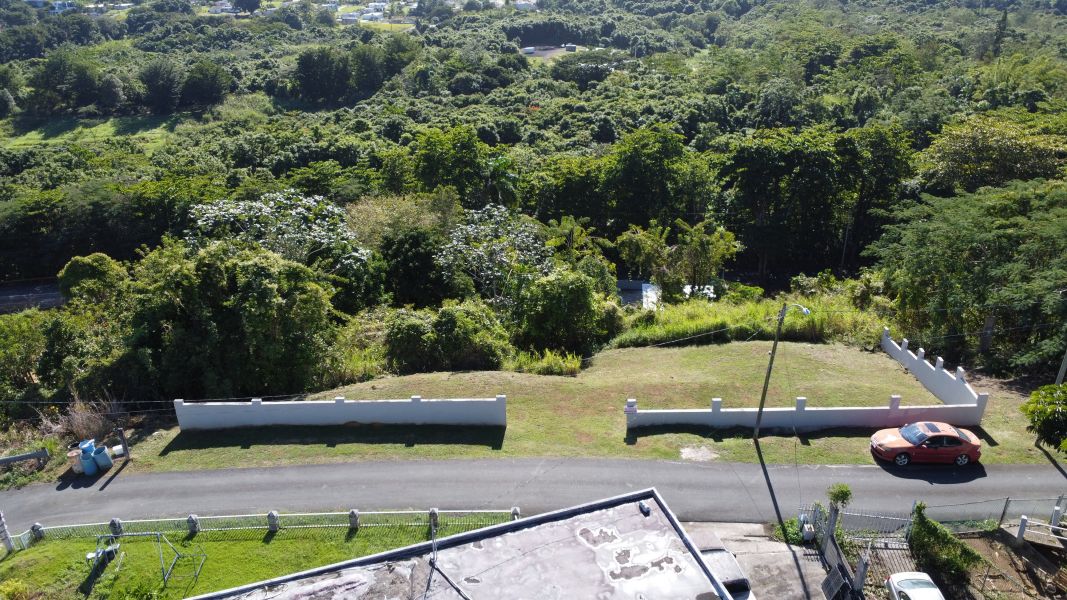 Carr 155 Km 56.9 Sector La Lomita Bo Franquez Morovis 00687 PR