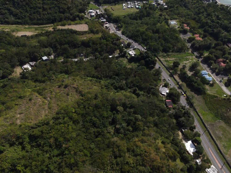 Carr 115 Km 4.8 Bo Caguabo Anasco 00610 PR